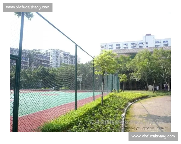 全球赛场风云速递聚焦足球篮球网球赛事动态与深度观察与专家解读