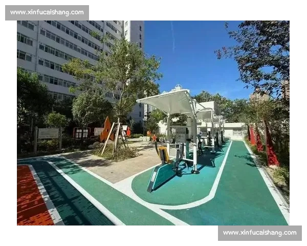 打造全方位综合体育发展新模式 提升全民健身与竞技水平的协同作用 打造全方位综合体育发展新模式 提升全民健身与竞技水平的协同作用